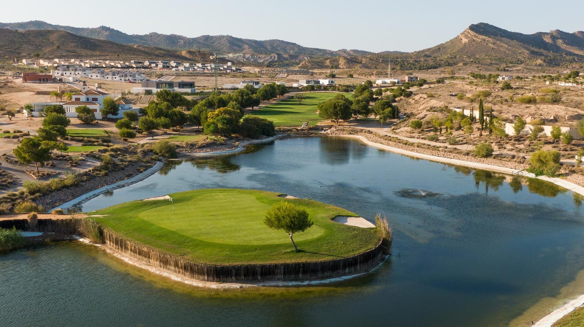 Championship Golf
